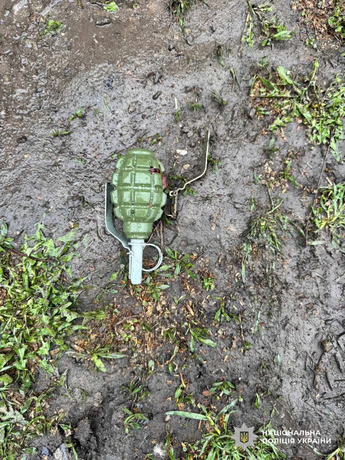 На Дніпропетровщині чоловік кинув гранату в поліцейських: п'ятеро поранених. Фото