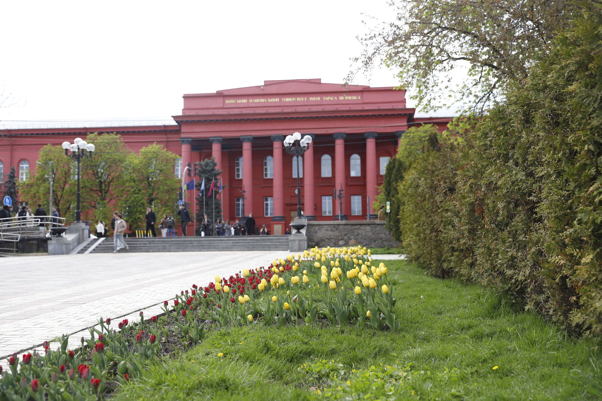 У Києві розпочався період цвітіння тюльпанів: де можна зробити чудові фото