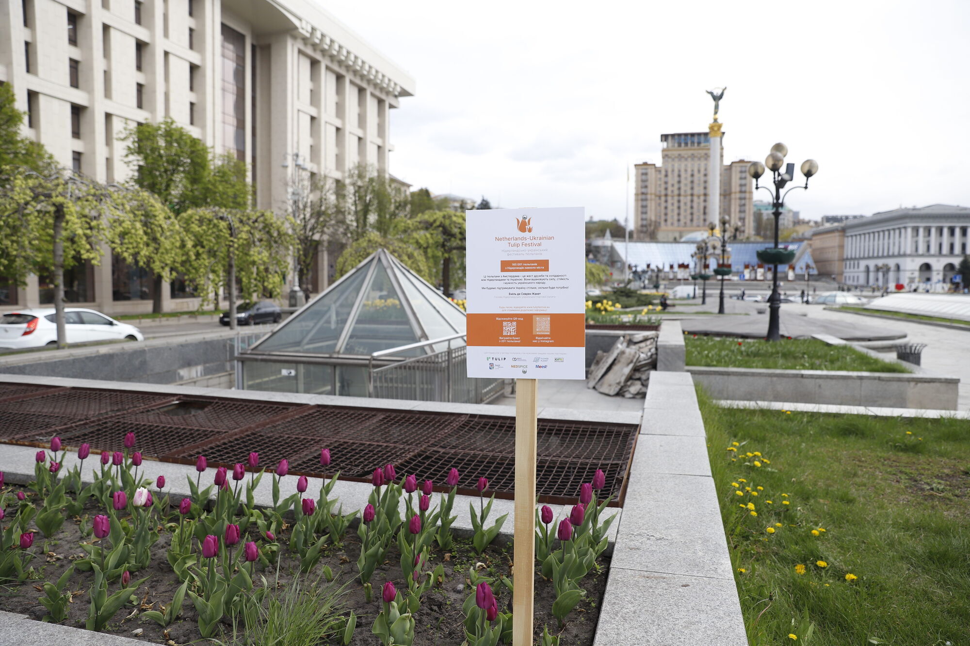 У Києві розпочався період цвітіння тюльпанів: де можна зробити чудові фото