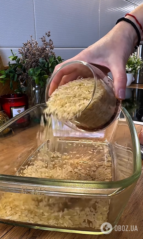 Як смачно приготувати курку з рисом в духовці: рецепт нашвидкуруч