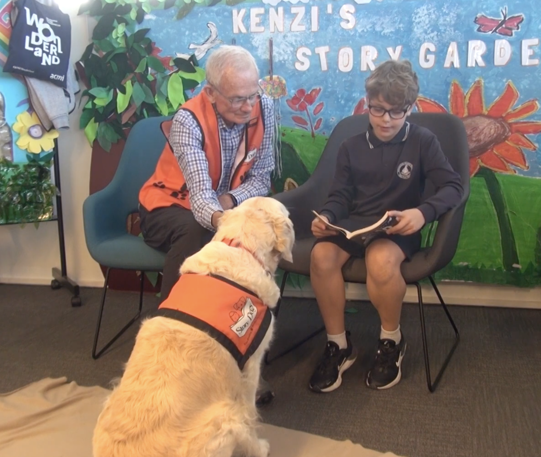 Діти стають упевненими та вчаться читати вголос: початкові школи Австралії взяли "на роботу" собак. Відео