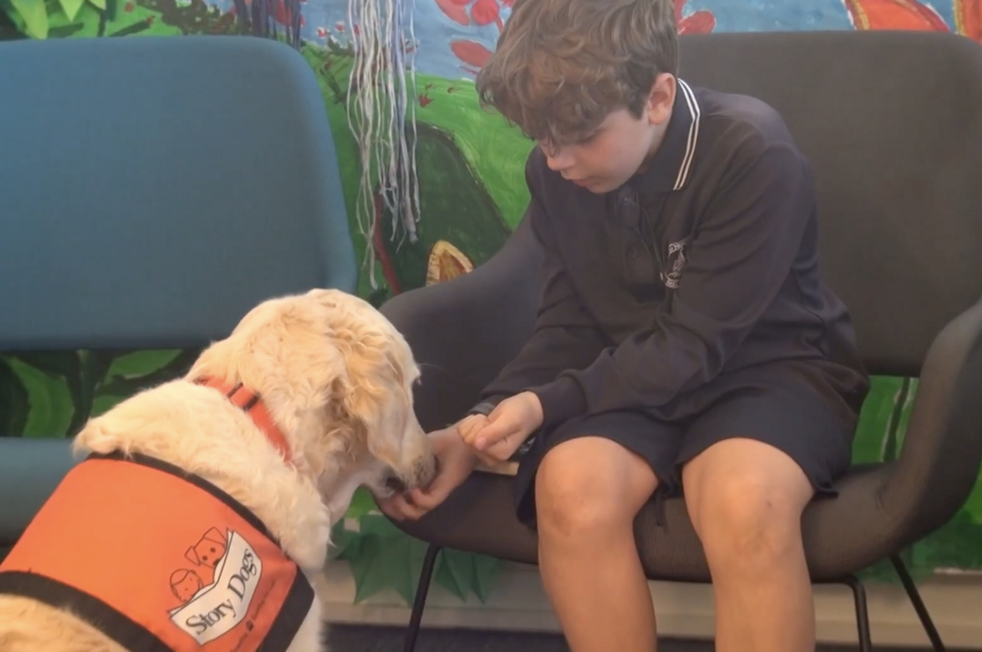 Діти стають упевненими та вчаться читати вголос: початкові школи Австралії взяли "на роботу" собак. Відео