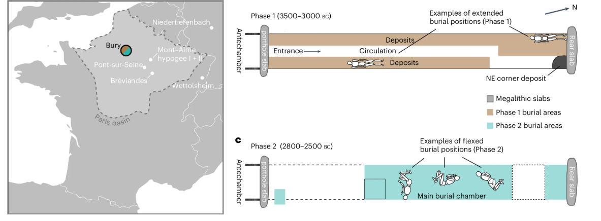 5000 років тому в Європі трапився колапс: вчені зробили відкриття