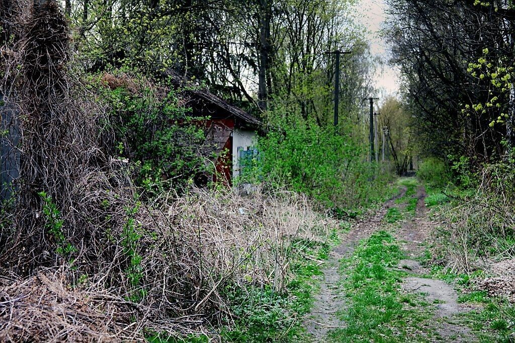 Чорнобиль: 1986-й рік, який так і не скінчився. Фоторепортаж
