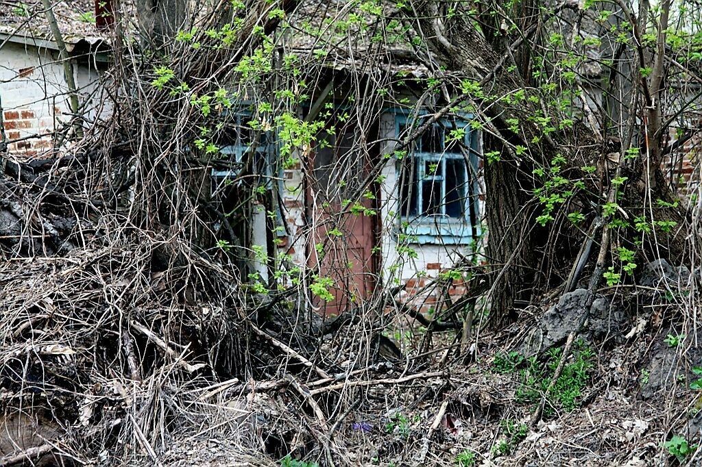 Чорнобиль: 1986-й рік, який так і не скінчився. Фоторепортаж