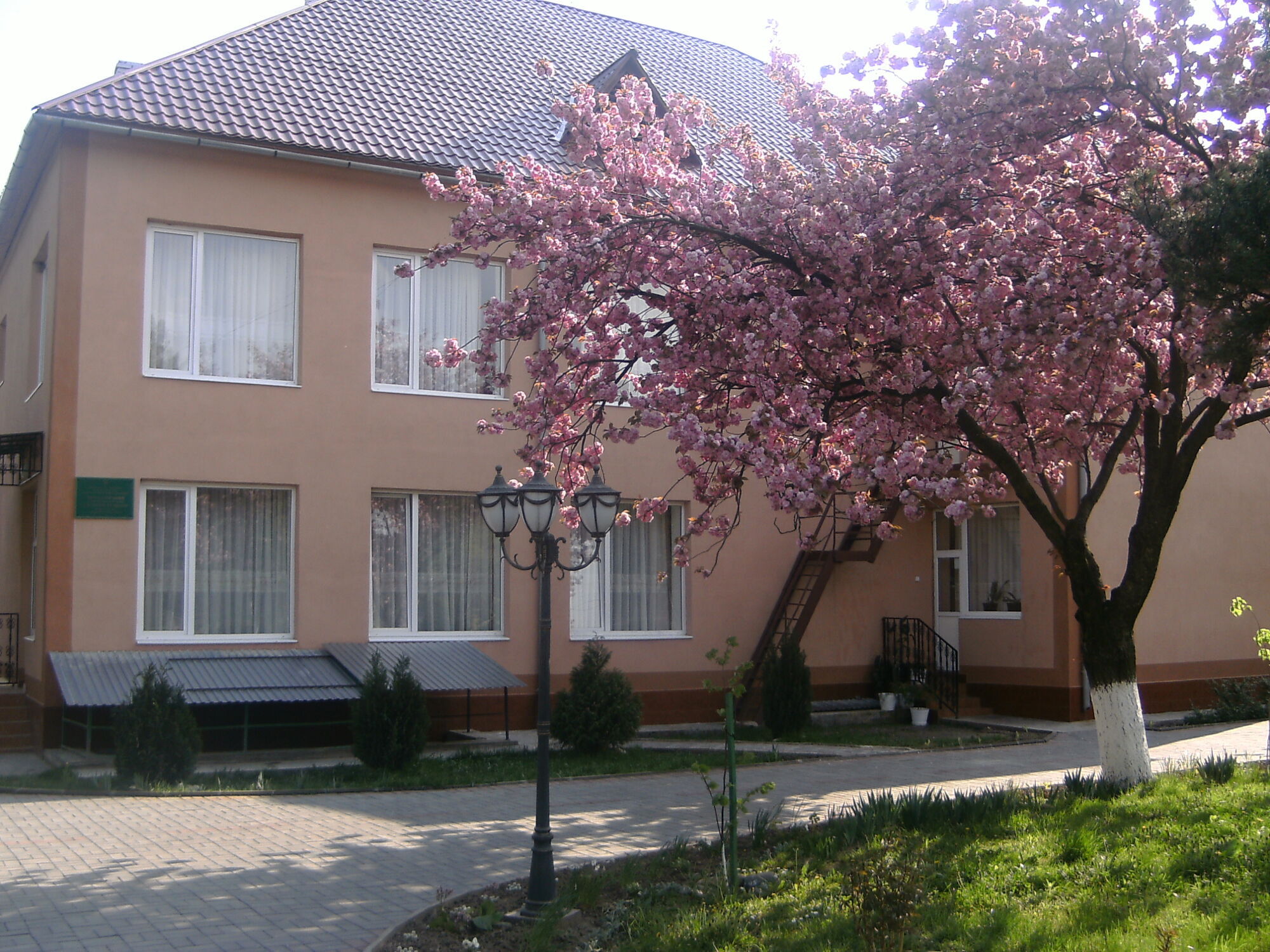 Суд в Італії дозволив усиновити дитину з України, матір якої жива, а батько зник безвісти на війні: що відбувається