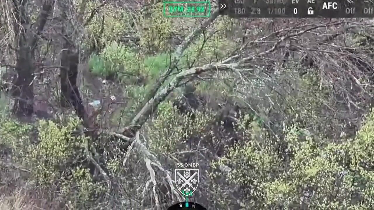 "Заблукали в Гришиному": українські військові взяли у полон двох окупантів на Покровському напрямку. Відео