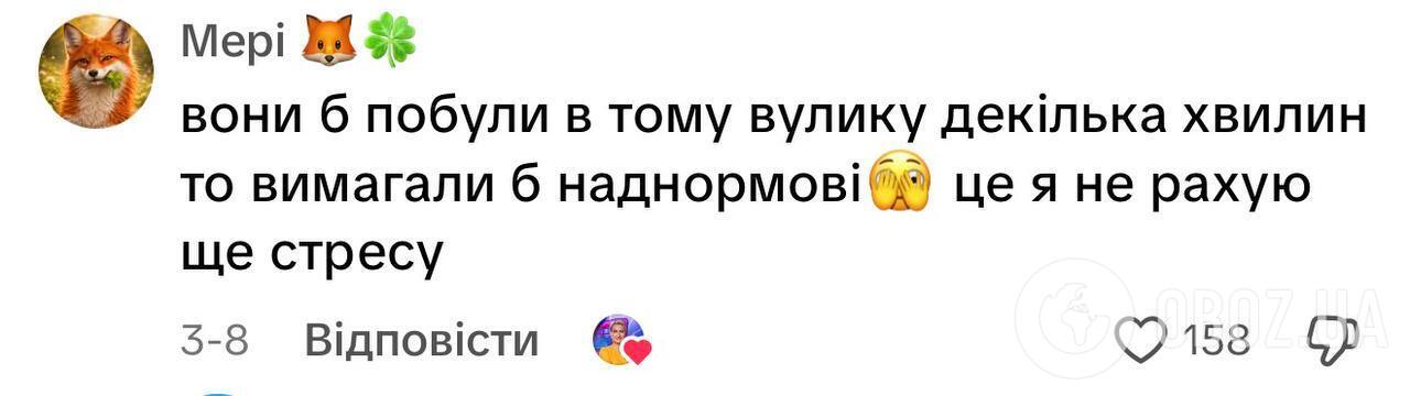 Чи вважати роботою перебування з учнями в укритті? В мережі розгорілась дискусія через відео вчительки з Києва