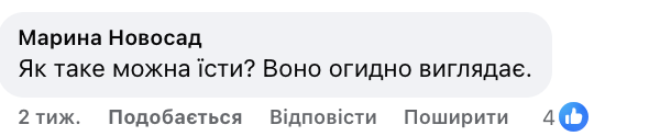 "Что это такое? Как его переварить?" Украинцев возмутили фото школьных обедов в Черкасской области: как отреагировала директор и что говорят нормы питания