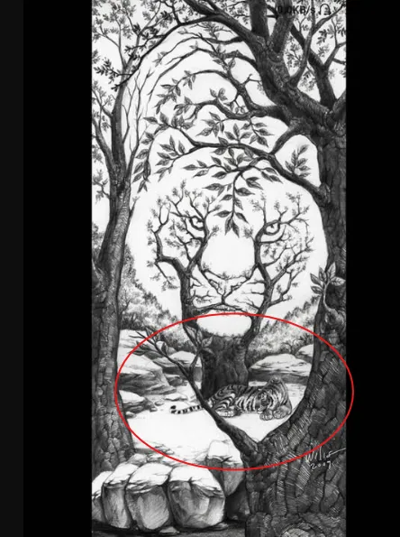 Что увидели первым? Тест покажет вашу личность