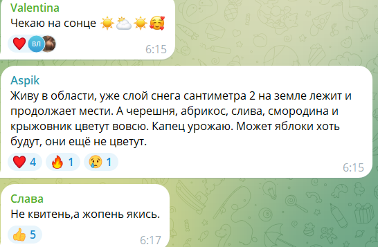 "А сейчас точно апрель?" Сеть взбудоражили кадры снега в Украине посреди весны. Фото и видео