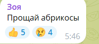 "А сейчас точно апрель?" Сеть взбудоражили кадры снега в Украине посреди весны. Фото и видео