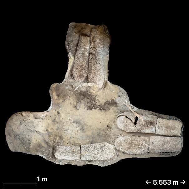 Вчені знайшли текст "Іліади" всередині єгипетської мумії. Фото