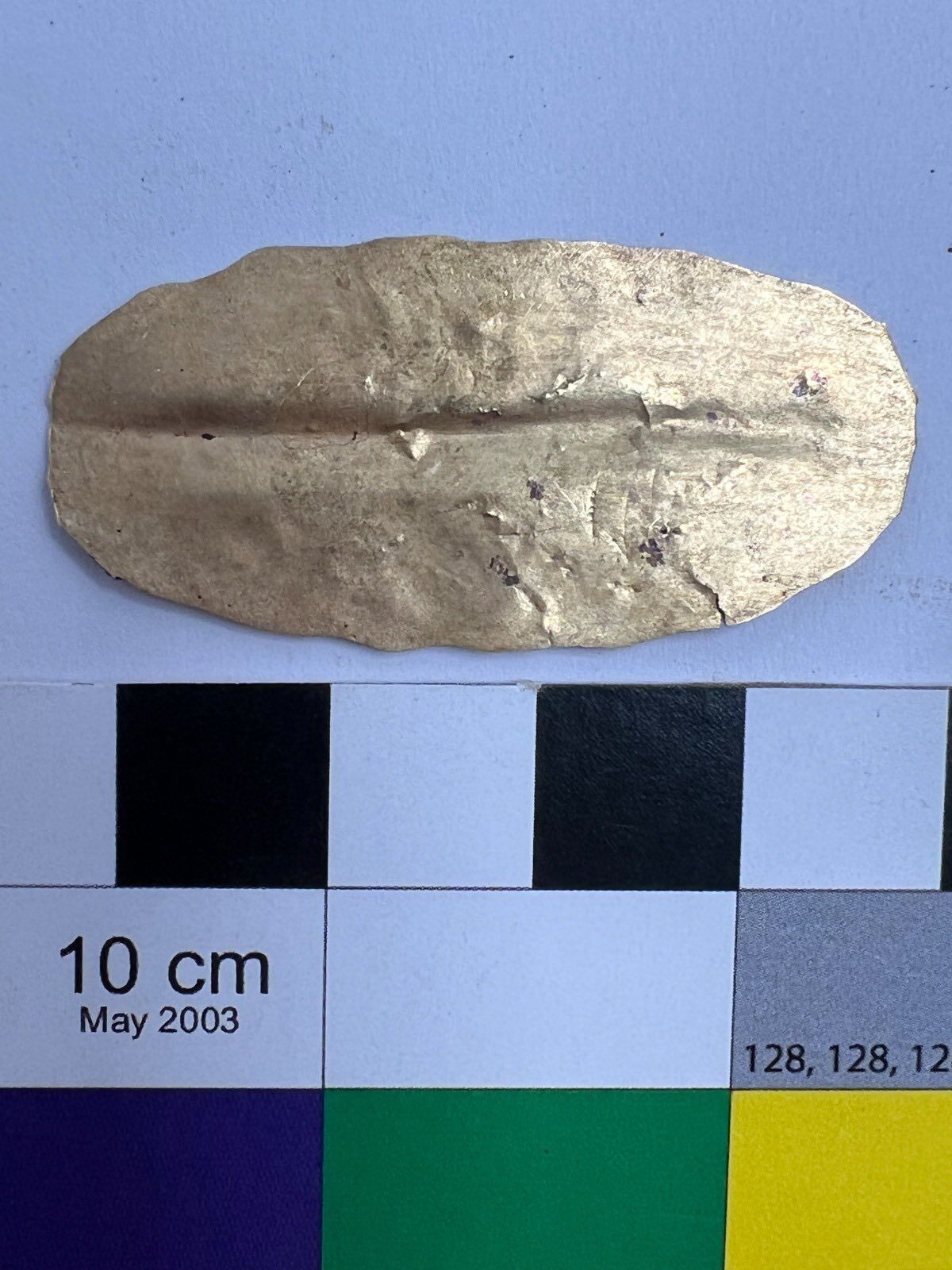 Вчені знайшли текст "Іліади" всередині єгипетської мумії. Фото