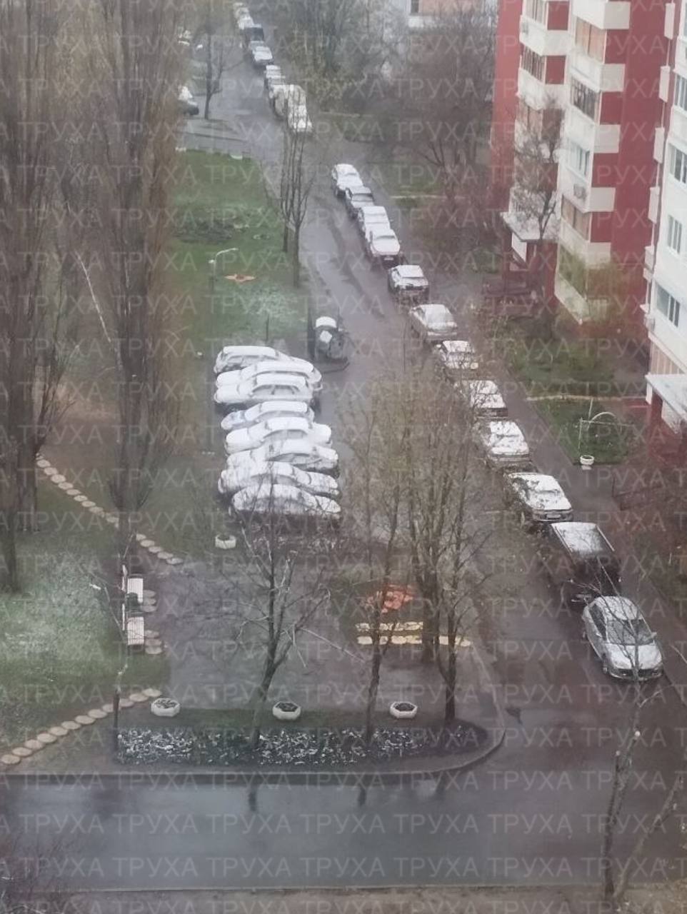 "А сейчас точно апрель?" Сеть взбудоражили кадры снега в Украине посреди весны. Фото и видео