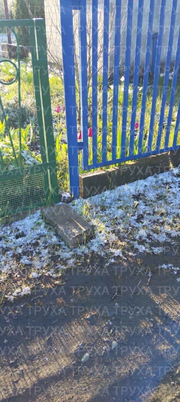 "А сейчас точно апрель?" Сеть взбудоражили кадры снега в Украине посреди весны. Фото и видео