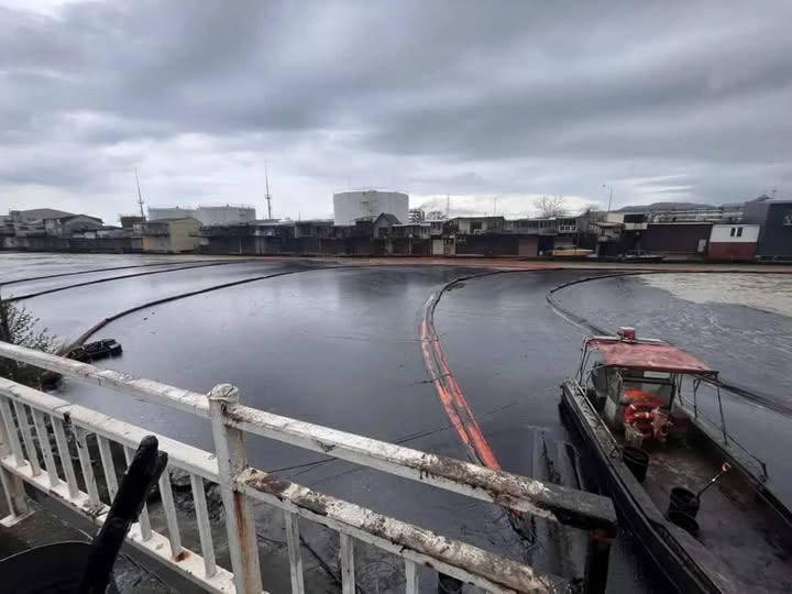 Тонут в собственной нефти: как выглядит Туапсе в результате агрессии РФ против Украины. Фото и видео