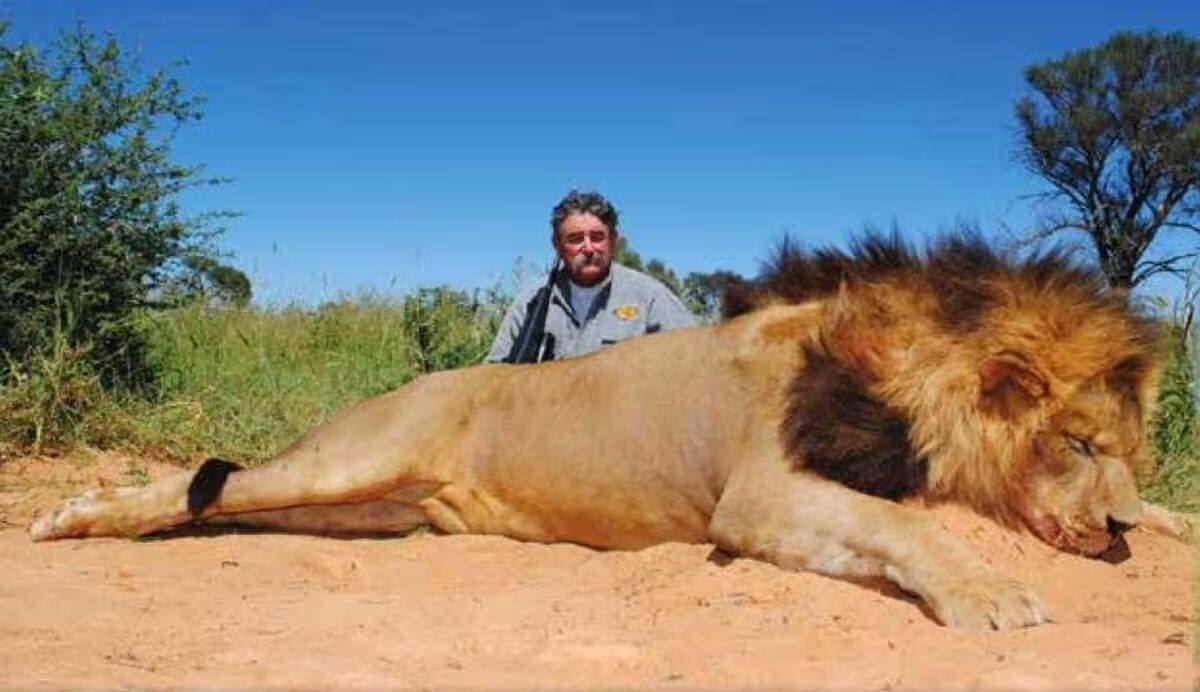 Американский бизнесмен погиб во время охоты в Африке: его затоптало стадо слонов – The Telegraph