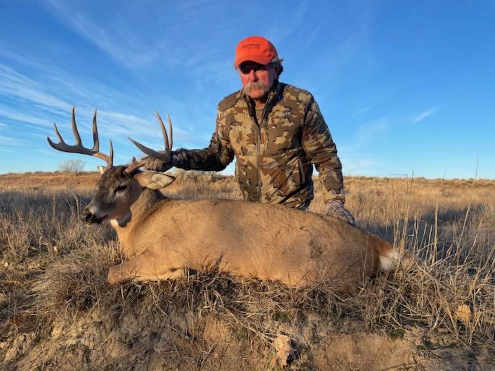 Американский бизнесмен погиб во время охоты в Африке: его затоптало стадо слонов – The Telegraph