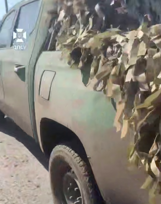 Украинские пограничники спасли косулю, которая запуталась в антидроновой сетке. Видео