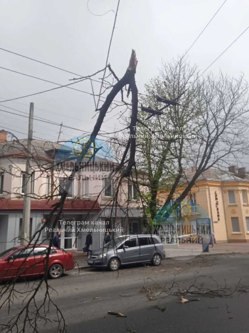 Украину накрыла непогода: ветер срывает крыши, погибли два человека. Фото и видео