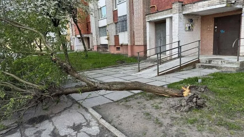 Украину накрыла непогода: ветер срывает крыши, погибли два человека. Фото и видео