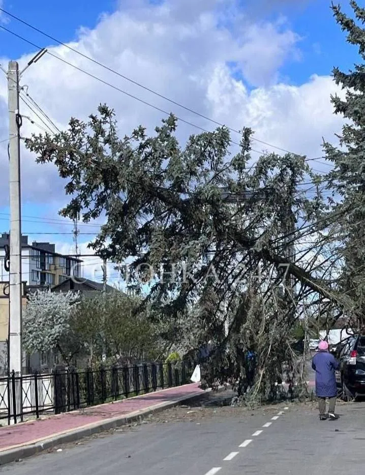 Украину накрыла непогода: ветер срывает крыши, погибли два человека. Фото и видео