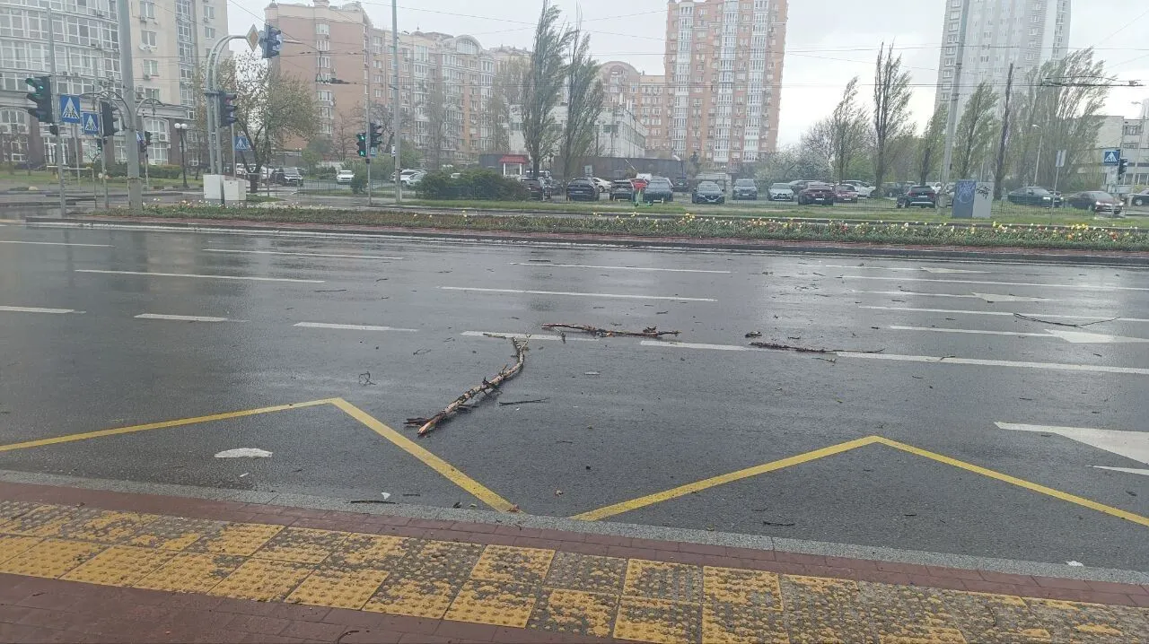 Украину накрыла непогода: ветер срывает крыши, погибли два человека. Фото и видео