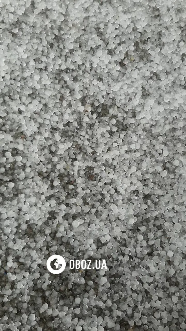 Украину накрыла непогода: ветер срывает крыши, погибли два человека. Фото и видео