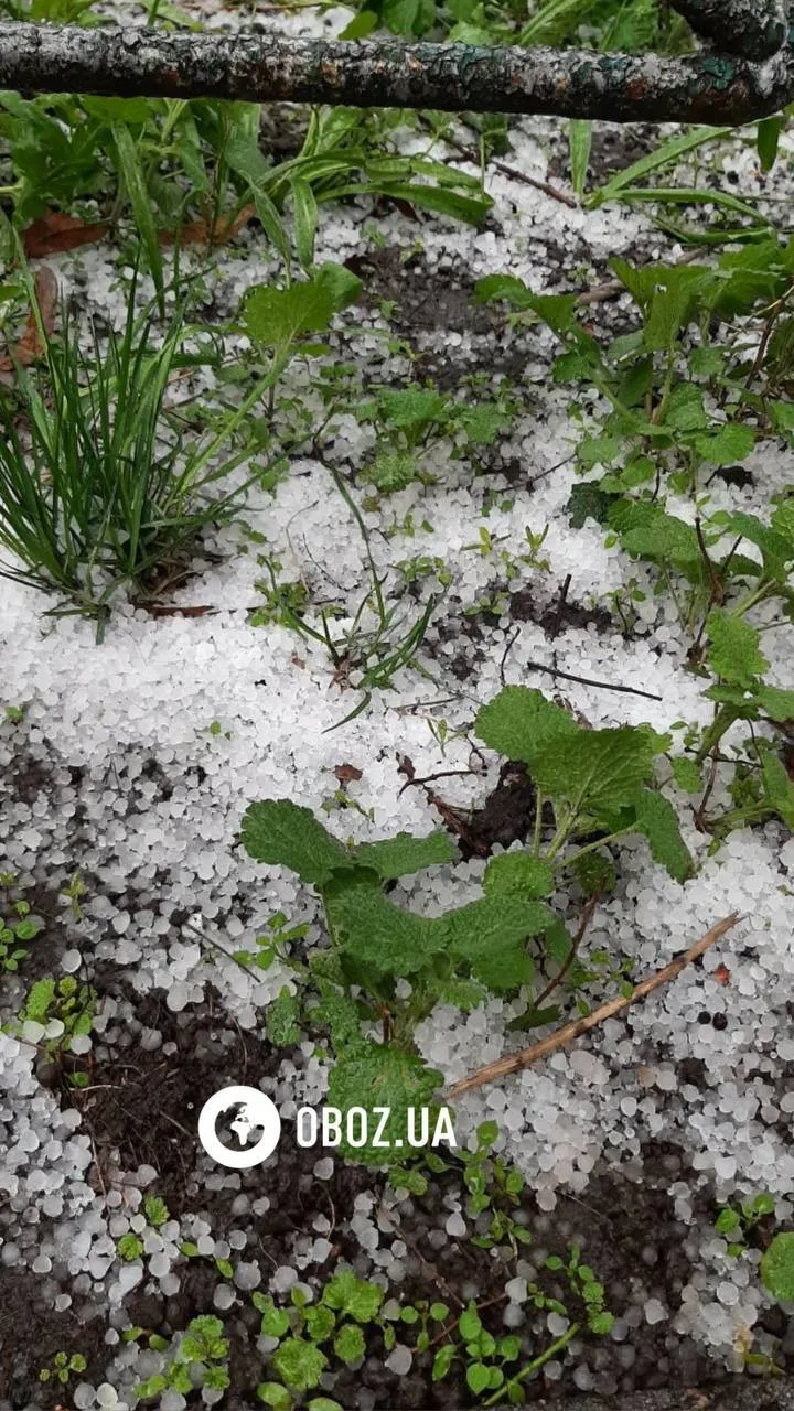 Украину накрыла непогода: ветер срывает крыши, погибли два человека. Фото и видео