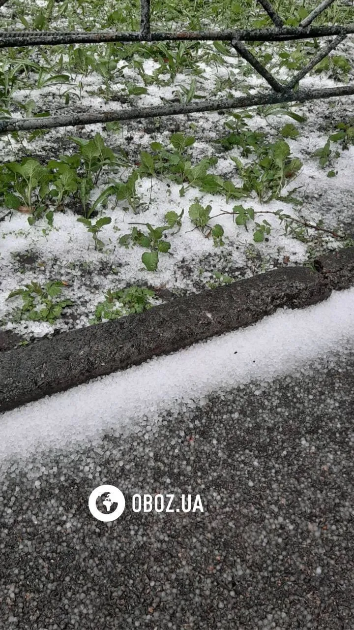 Украину накрыла непогода: ветер срывает крыши, погибли два человека. Фото и видео