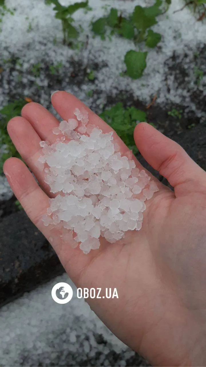 Украину накрыла непогода: ветер срывает крыши, погибли два человека. Фото и видео