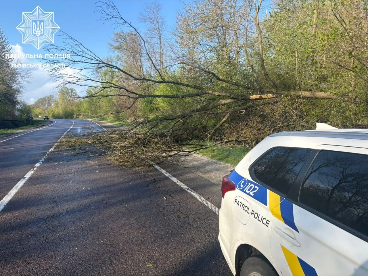 Украину накрыла непогода: ветер срывает крыши, погибли два человека. Фото и видео