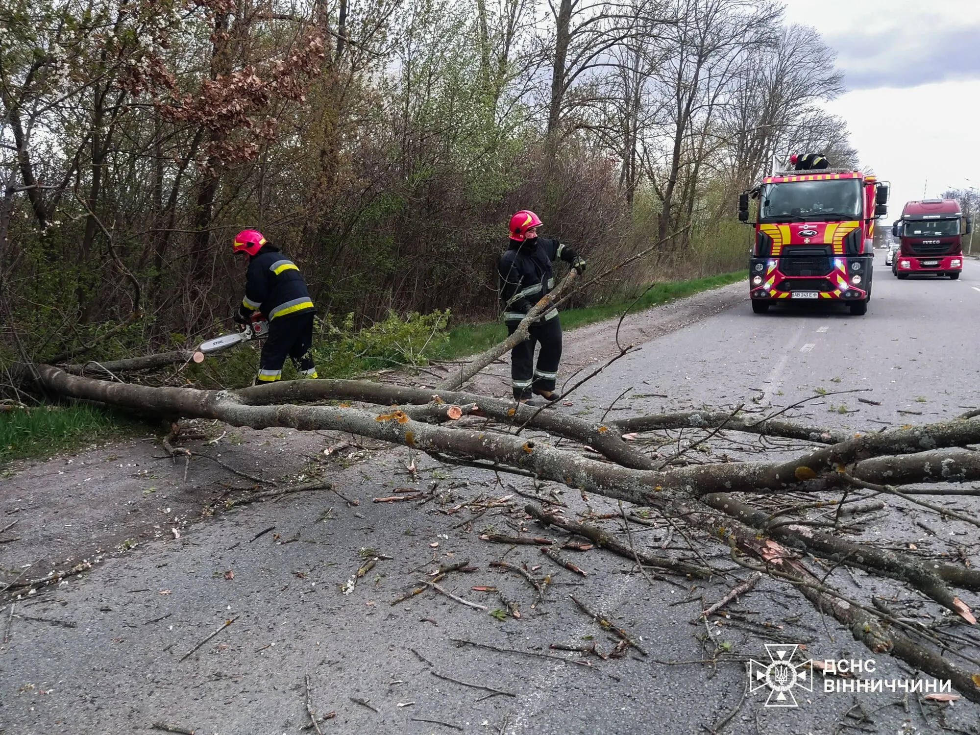 Украину накрыла непогода: ветер срывает крыши, погибли два человека. Фото и видео