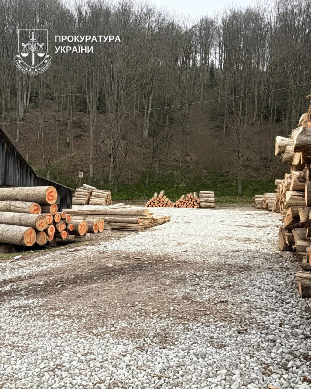 Лісоматеріали не проходили офіційний облік