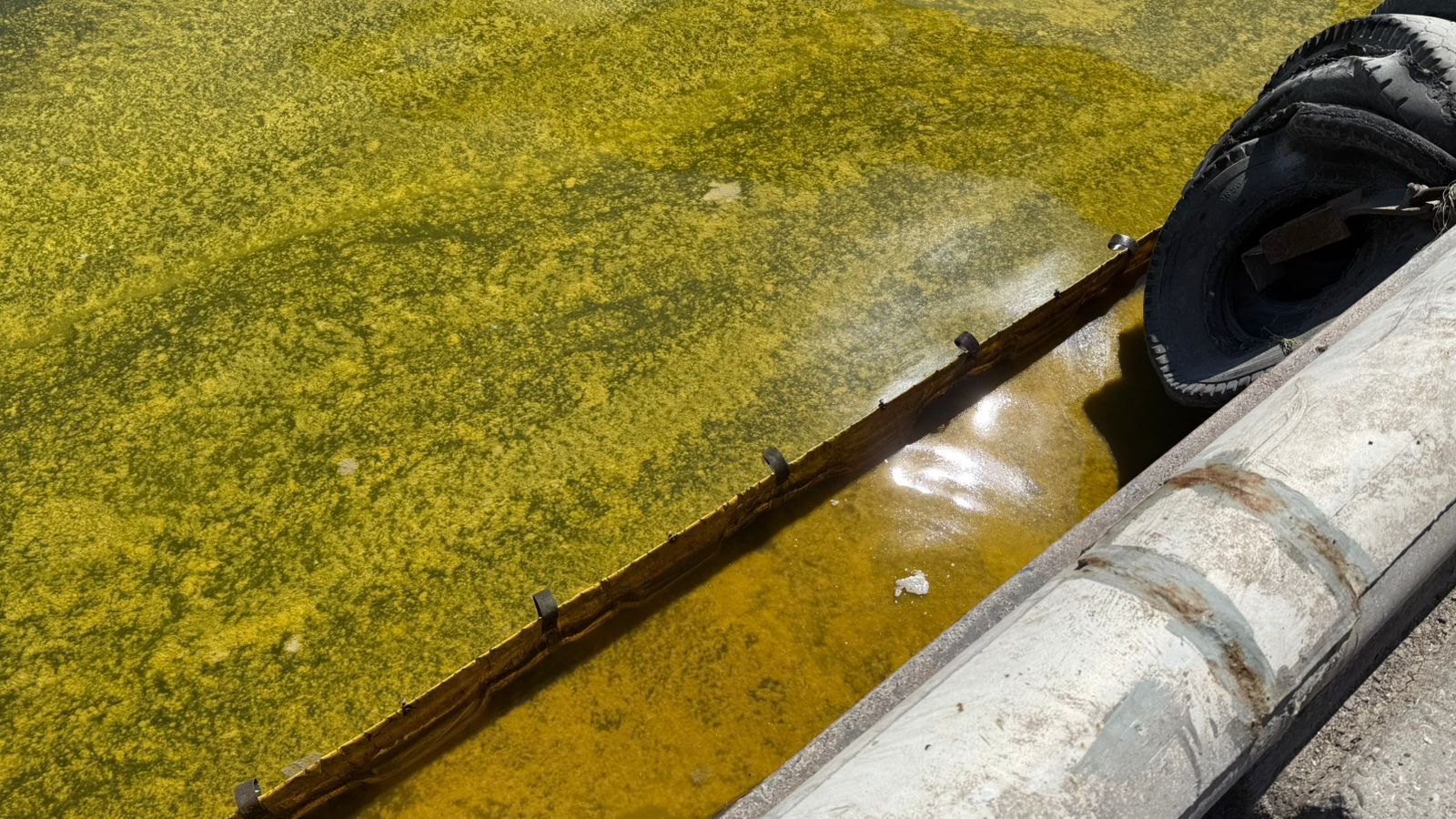 У порту Чорноморська стався витік соняшникової олії через атаку РФ: що відомо. Фото