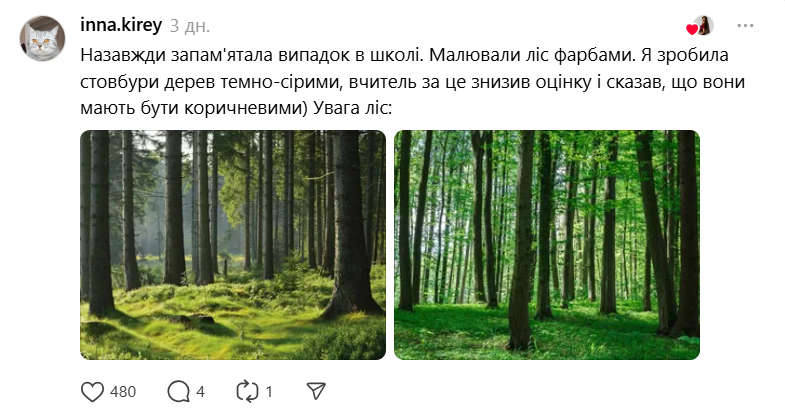 "Котик у космосі". Українців обурила вчителька, яка присоромила ученицю 7 класу за малюнок