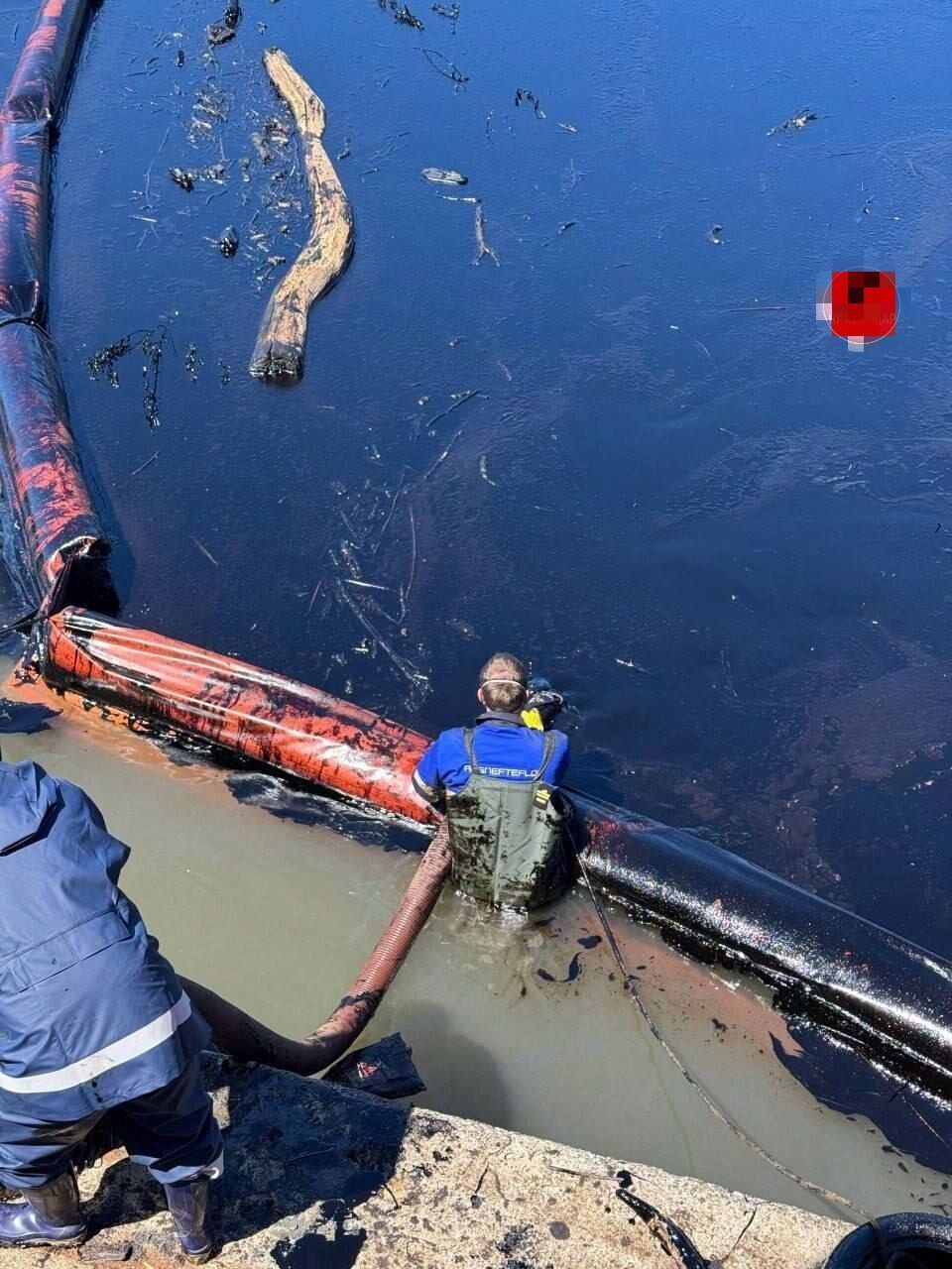 "Люди справляються": Путіну доповіли, що в Туапсе "серйозних загроз немає". Відео