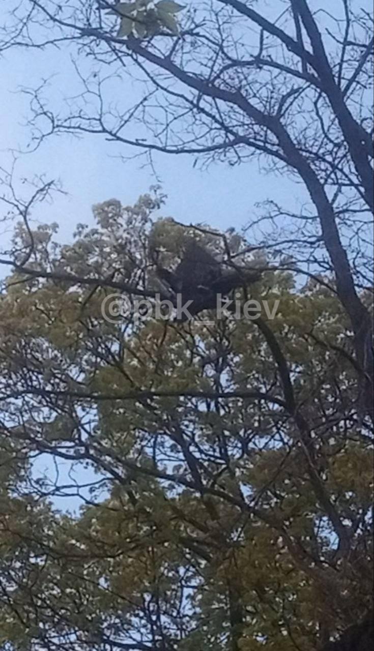 Киев атаковали вражеские дроны: есть попадания в здание и пострадавшие из-за падения обломков. Подробности и фото