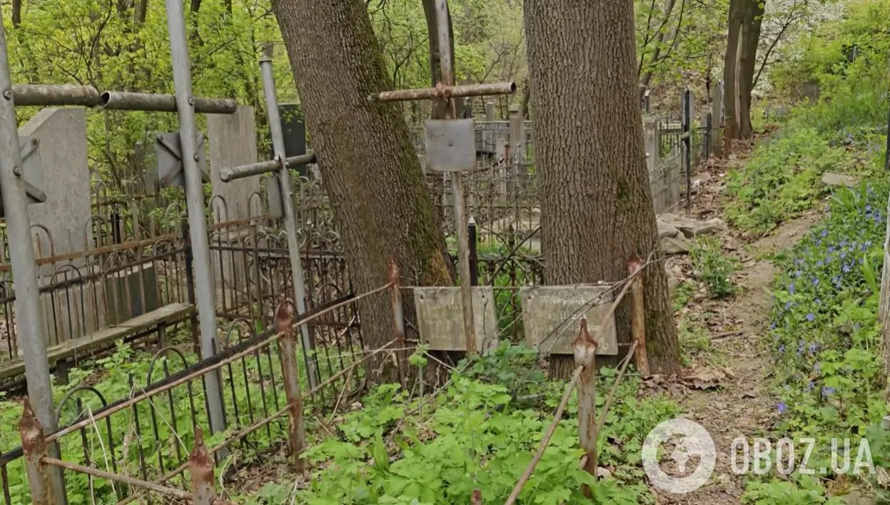 Сюда 50 лет не ступала нога человека: запущенный вид могилы выдающейся украинской художницы шокировал сеть