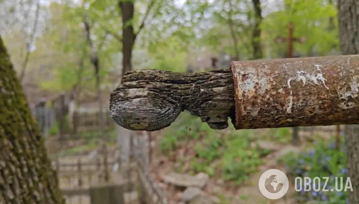 Сюда 50 лет не ступала нога человека: запущенный вид могилы выдающейся украинской художницы шокировал сеть