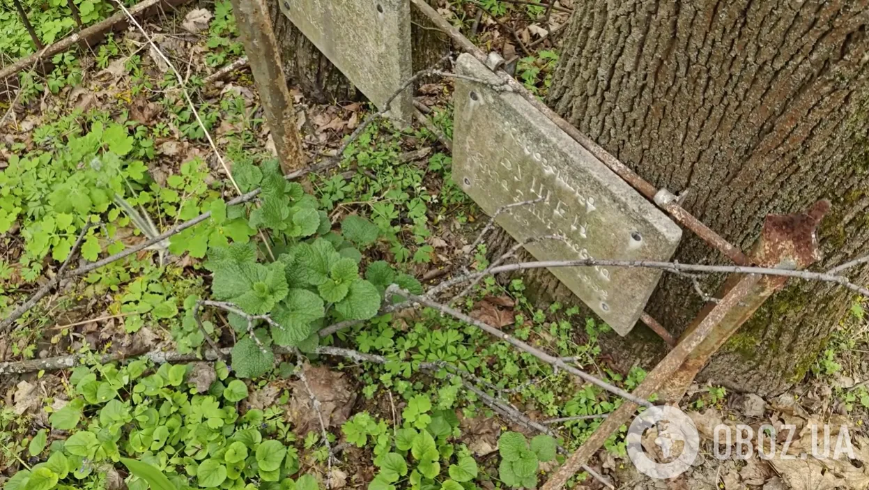 Сюда 50 лет не ступала нога человека: запущенный вид могилы выдающейся украинской художницы шокировал сеть