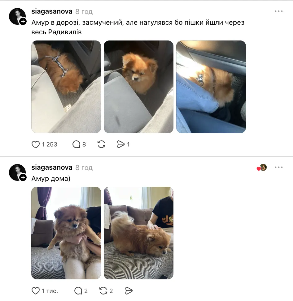 Сказали, что поезд будет стоять 10 минут, а отправились раньше: "УЗ" попала в новый скандал – мужчину с собакой оставили на вокзале. Фото