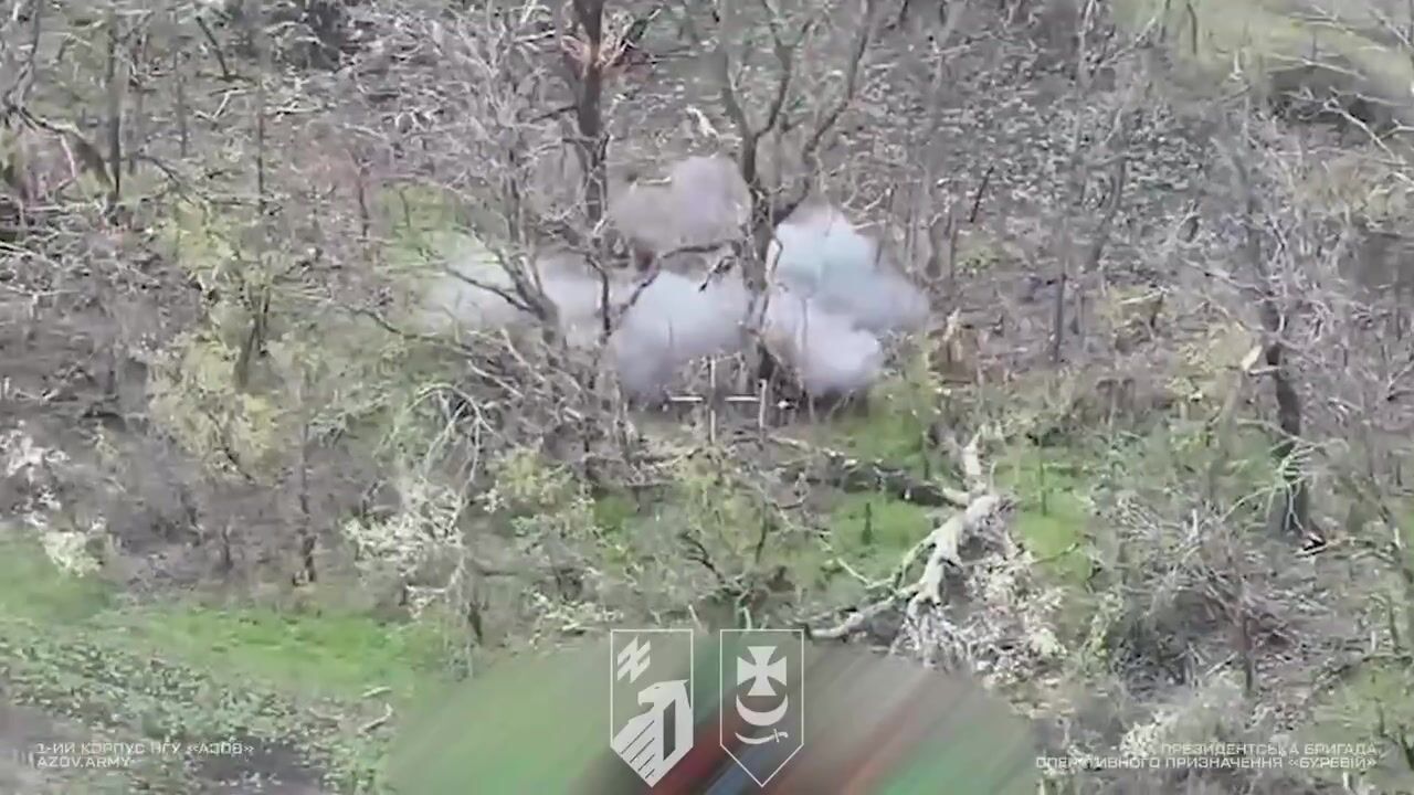 Ураження на глибині до кількох десятків кілометрів: у Нацгвардії показали влучну роботу на Добропільському напрямку. Відео