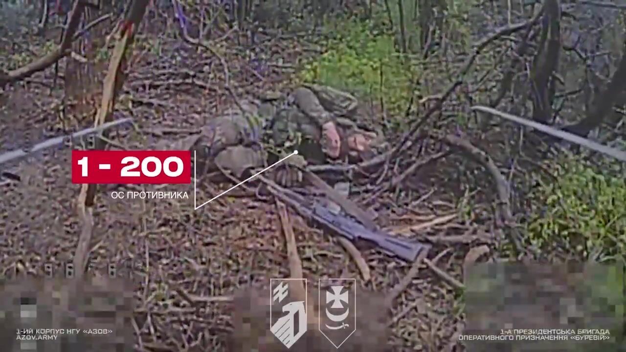 Ураження на глибині до кількох десятків кілометрів: у Нацгвардії показали влучну роботу на Добропільському напрямку. Відео