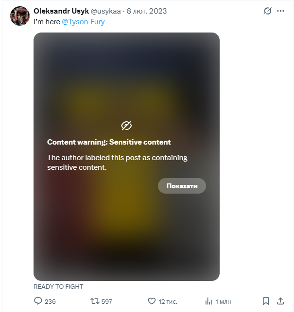 Фото Усика с флагом Украины попали под ограничения Илона Маска