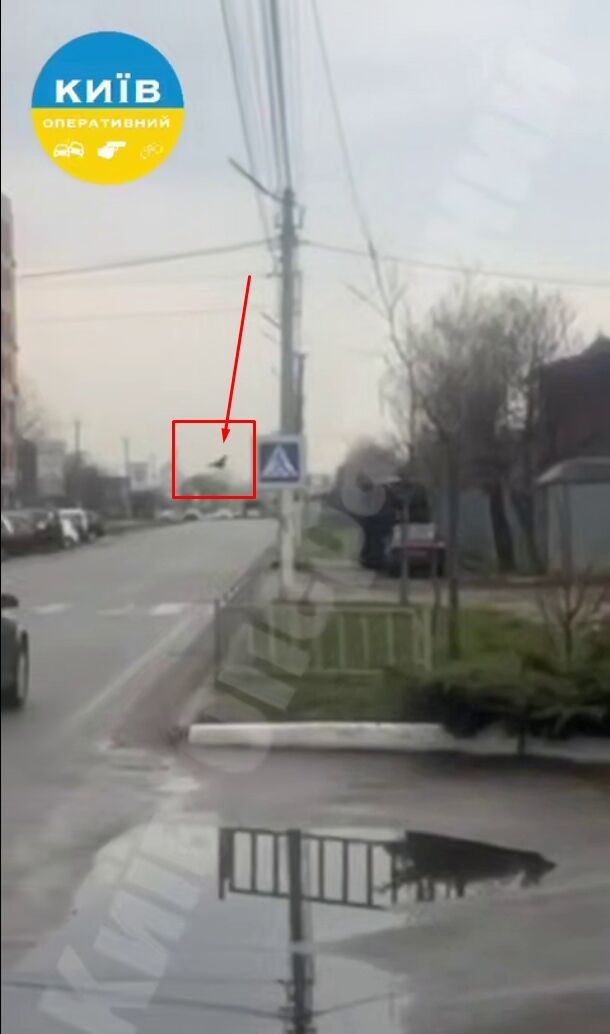 Внаслідок атаки РФ знищено ветклиніку на Київщині, є загиблий та постраждалі. Подробиці, фото та відео