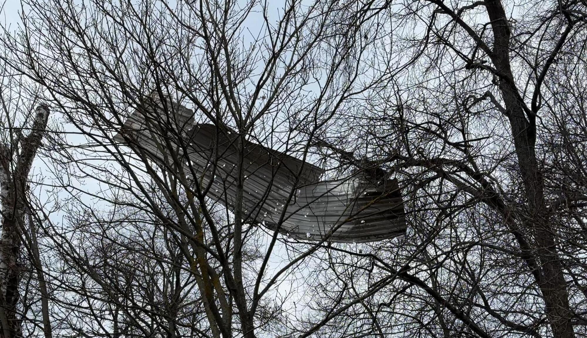 Обещал дожить до ста: на Черниговщине российский дрон убил старейшего жителя села