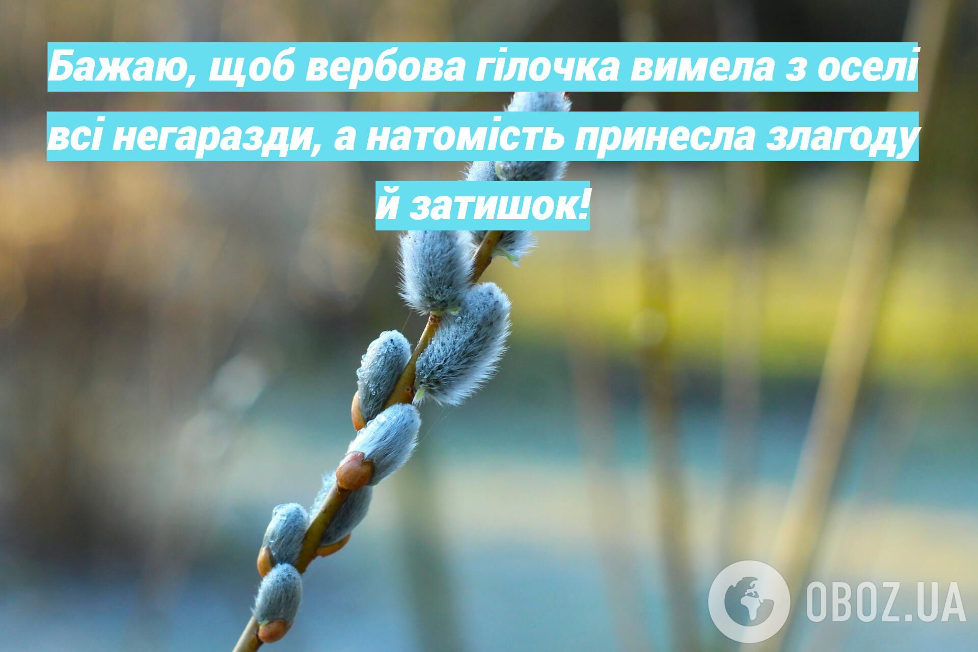 Картинки з Вербною неділею: привітання, листівки, оригінальні побажання для рідних та друзів