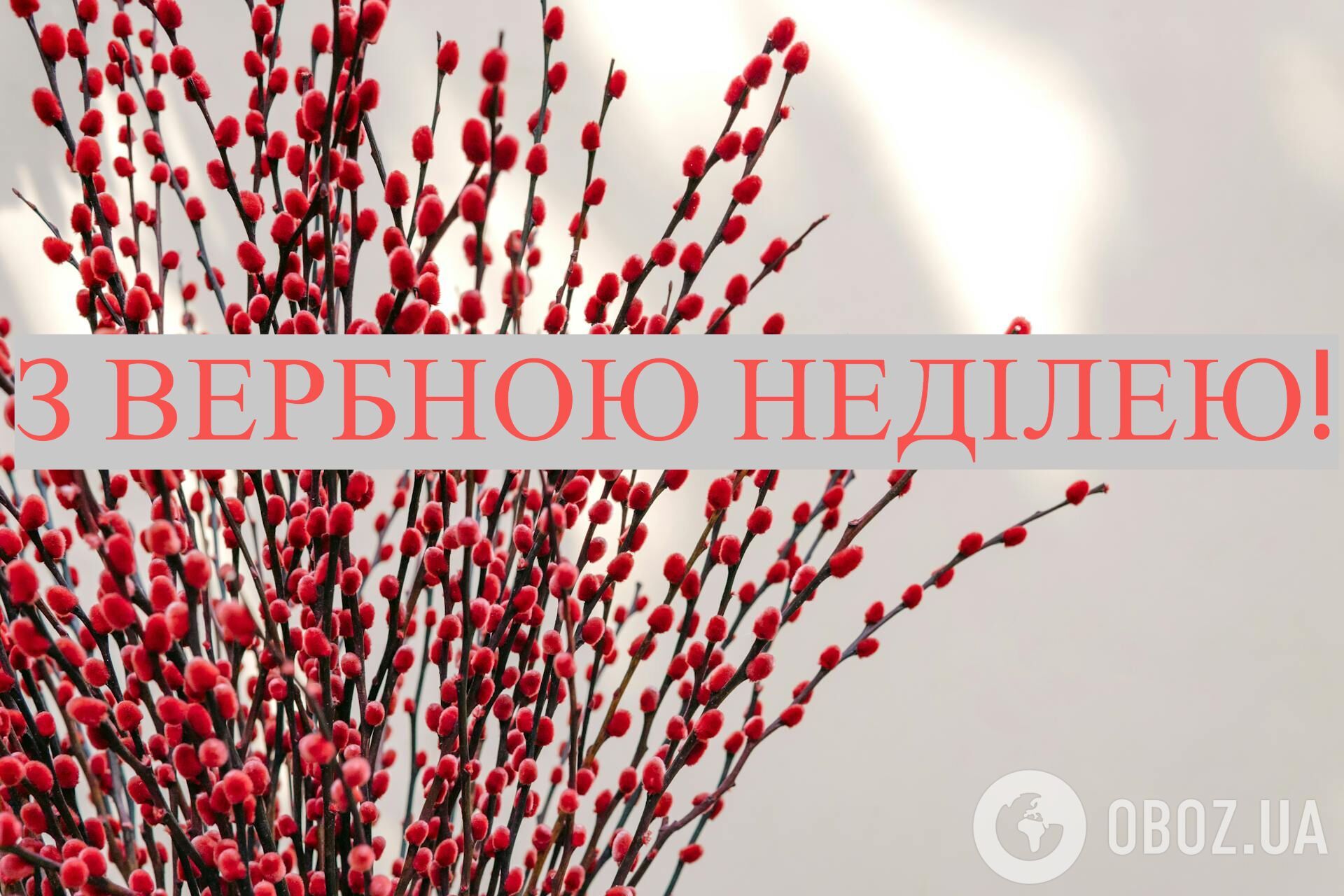 Картинки з Вербною неділею: привітання, листівки, оригінальні побажання для рідних та друзів